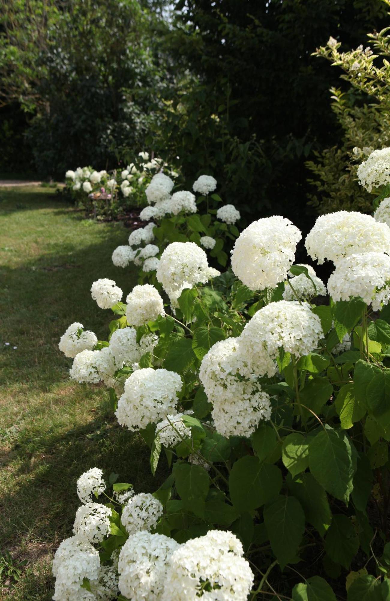Une Maison, Un Jardin Berthenay Ngoại thất bức ảnh
