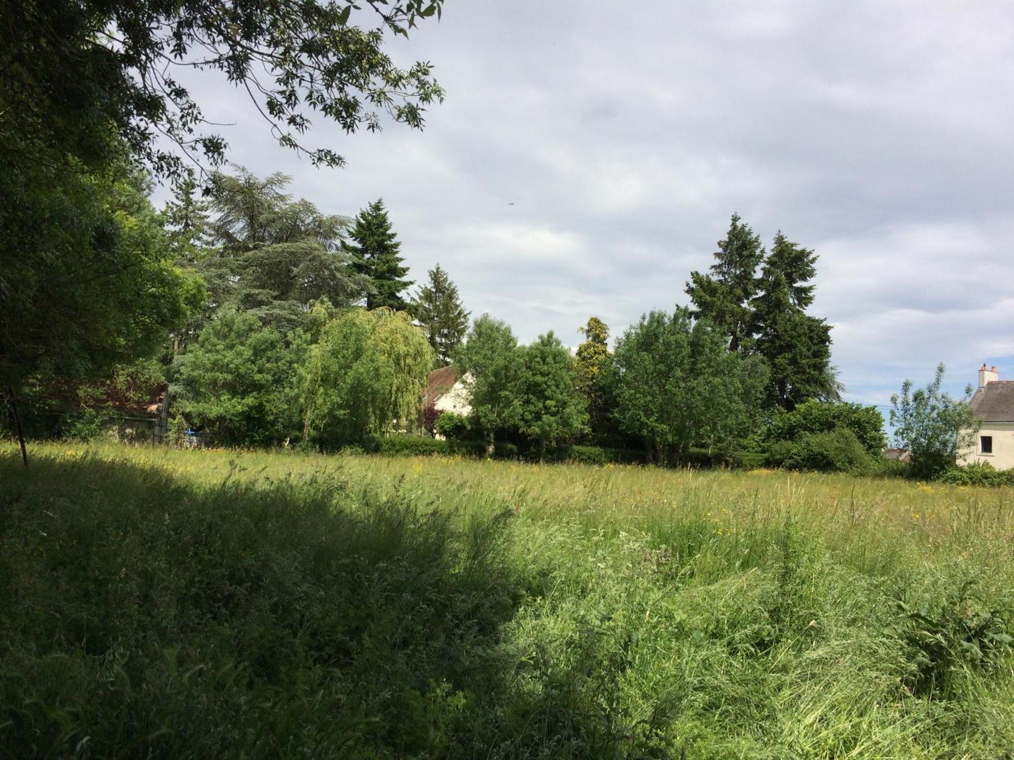 Une Maison, Un Jardin Berthenay Ngoại thất bức ảnh
